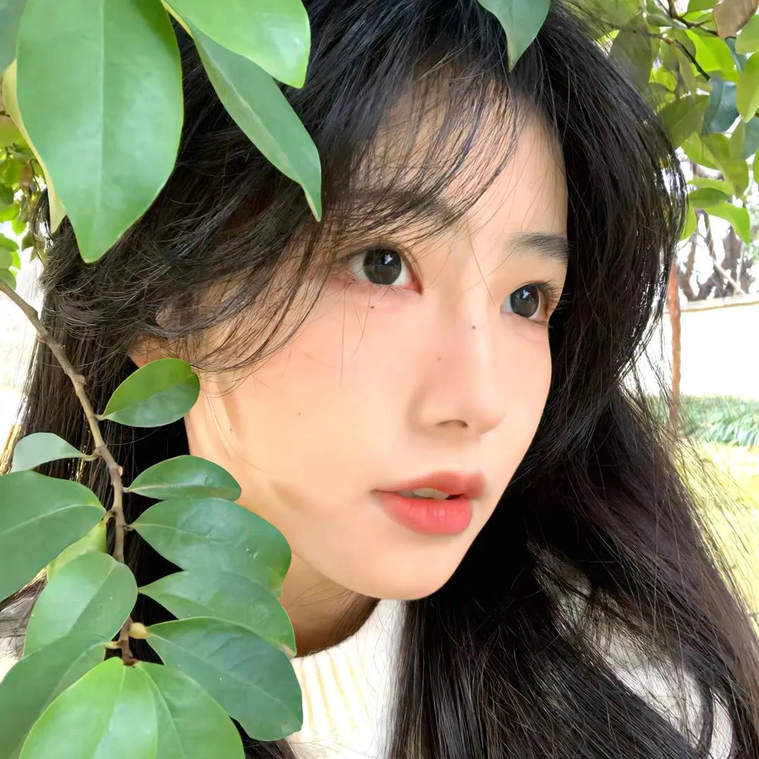 麻烦请你先告白